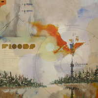 Floods - Transmission